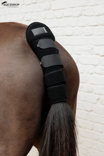 FAROKVÉDŐ KENTUCKY