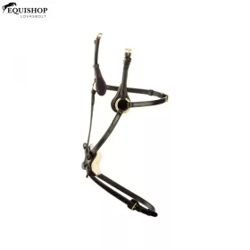 ORRSZÍJ TATTINI MEXIKÓI