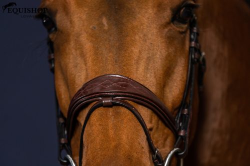 KANTÁR DYON NEW ENGLISH ANATOMIC