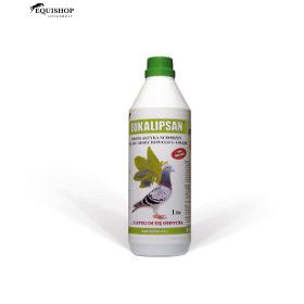   PATRON EUKALIPSAN fresh 1000ml – eukaliptusz,menta és fenyő kivonat, slejm oldó és légúttisztító