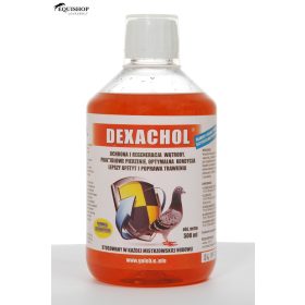   PATRON DEXACHOL 1000ml - máj védő és regeneráló, vedlés segítő