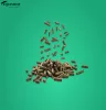 ROOSENS SEAWEED BALANCER 10KG