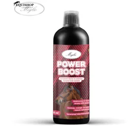 MEGLIO POWER BOOST 500ML