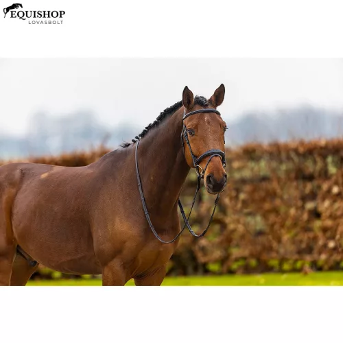 KANTÁR TRUST AMSTERDAM