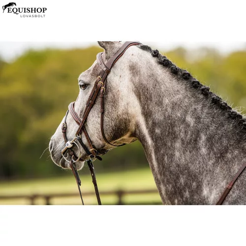 KANTÁR TRUST AMSTERDAM