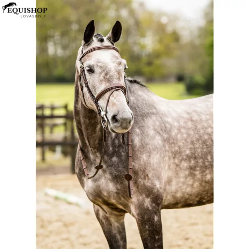 KANTÁR TRUST AMSTERDAM