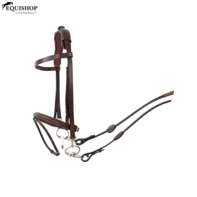 KANTÁR TRUST HAMBURG TRAINING