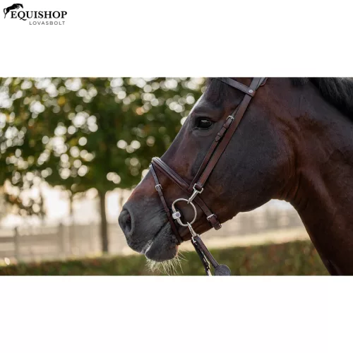 KANTÁR TRUST HAMBURG TRAINING