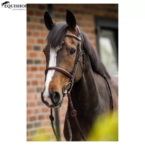 KANTÁR TRUST GENEVA