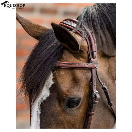 KANTÁR TRUST GENEVA