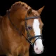 KANTÁR IMPERIAL RIDING SHETTY