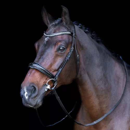 KANTÁR IMPERIAL RIDING RHINESTONE