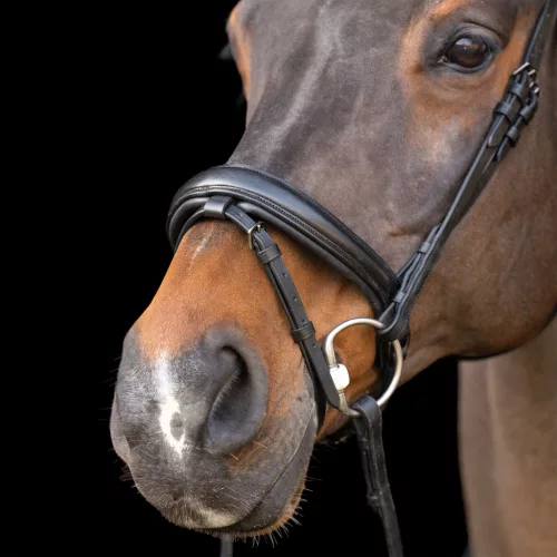 KANTÁR IMPERIAL RIDING RHINESTONE