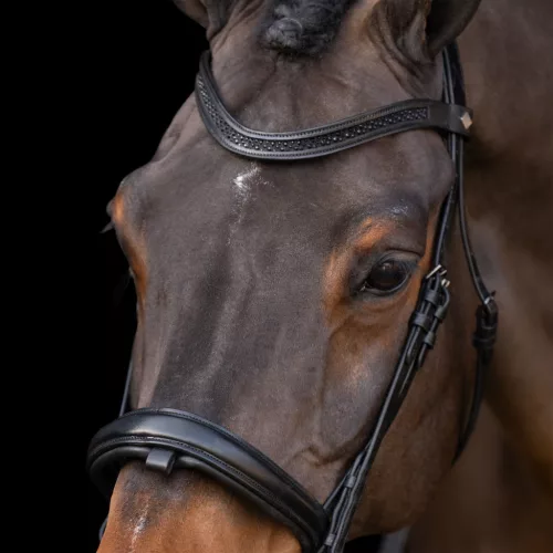 KANTÁR IMPERIAL RIDING RHINESTONE