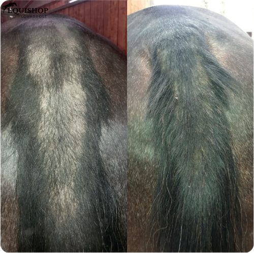 UNIONBIO EQUILUX-ápoló gél farokhoz és sörényhez 1L