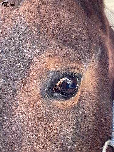 UNIONBIO SKINCUT – Nyugtató hatású hámosító krém