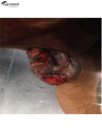 UNIONBIO SA.R.CO.PLANT – Bőrregeneráló krém szarkoidra