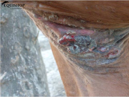 UNIONBIO SA.R.CO.PLANT – Bőrregeneráló krém szarkoidra