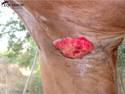 UNIONBIO SA.R.CO.PLANT – Bőrregeneráló krém szarkoidra