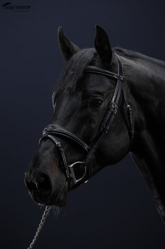 KANTÁR DYON US ANATOMIC