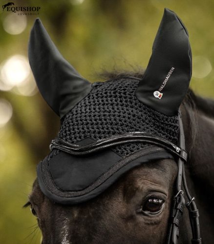 FÜLVÉDŐ WALDHAUSEN COMPETITION