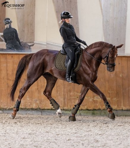 NYEREGALÁTÉT WALDHAUSEN PHILADEPHIA