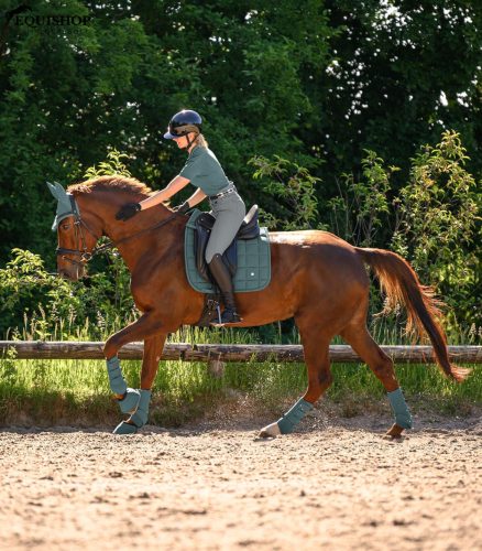 FÜLVÉDŐ WALDHAUSEN PERFORMANCE