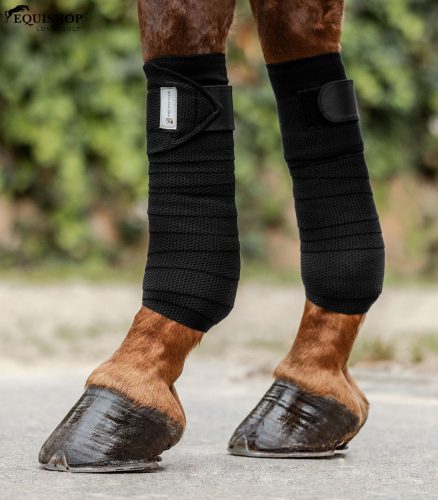 FÁSLI WALDHAUSEN BREATH