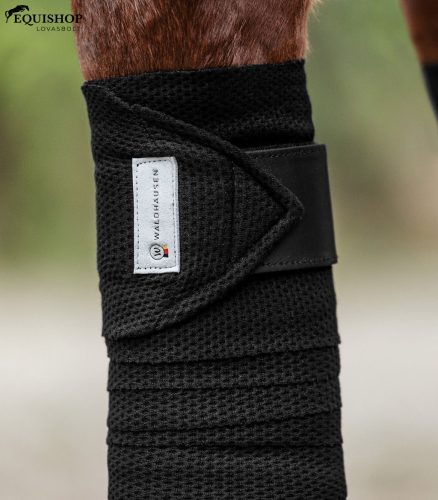 FÁSLI WALDHAUSEN BREATH