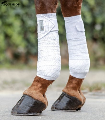 FÁSLI WALDHAUSEN BREATH