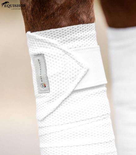 FÁSLI WALDHAUSEN BREATH