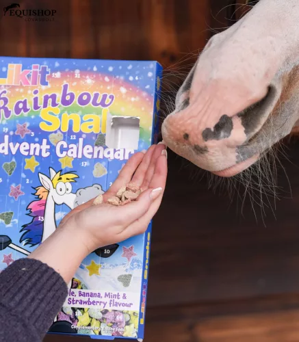LIKIT SNAKS ADVENT CALENDAR   