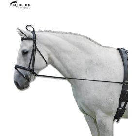 CHAMBON WALDHAUSEN GUMI