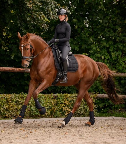 PATAHARANG WALDHAUSEN PERFORMANCE