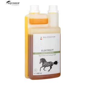 ELEKTROLYT WALDHAUSEN 1L