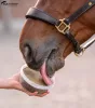 STABLESNACK WALDHAUSEN NYALÓTÁL 650G