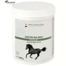 GASTRO BALANCE WALDHAUSEN 1KG