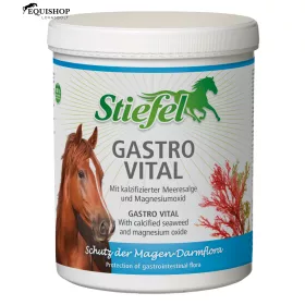 GASTRO VITAL STIEFEL 1KG