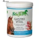 GASTRO VITAL STIEFEL 1KG