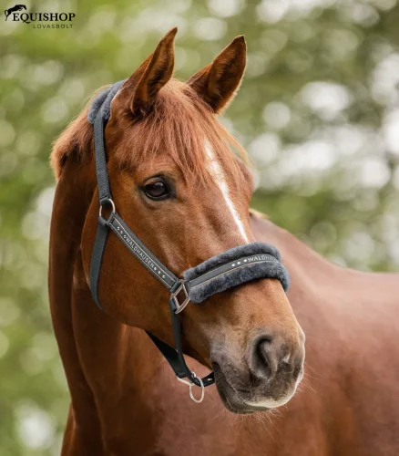 KÖTŐFÉK WALDHAUSEN ELEGANT
