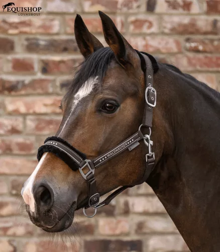 KÖTŐFÉK WALDHAUSEN ELEGANT