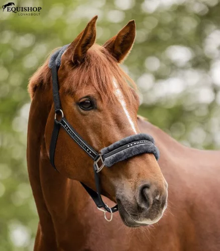 KÖTŐFÉK WALDHAUSEN ELEGANT
