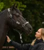 KÖTŐFÉK WALDHAUSEN BŐR POLO