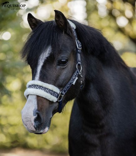 KÖTŐFÉK+VEZETŐSZÁR WALDHAUSEN LUCKY
