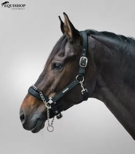 KÖTŐFÉK WALDHAUSEN PRO SAFETY