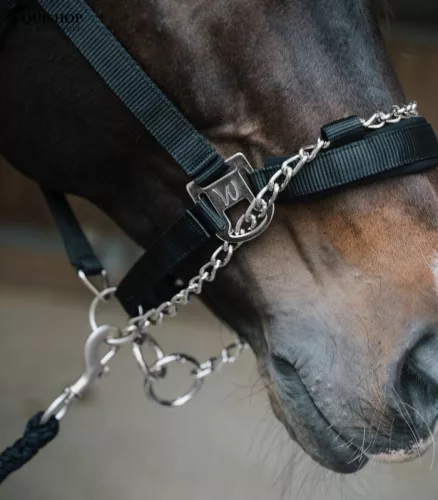 KÖTŐFÉK WALDHAUSEN PRO SAFETY