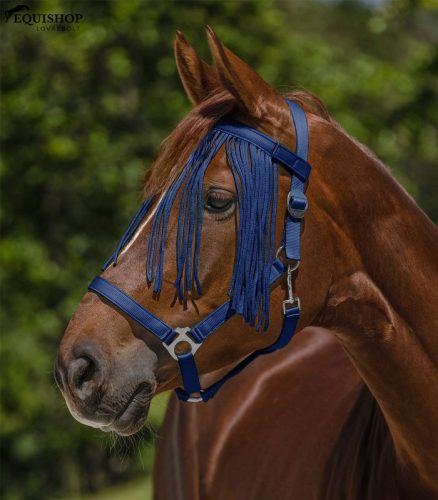 LÉGYSALLANG WALDHAUSEN