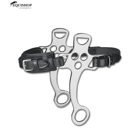 HACKAMORE WALDHAUSEN