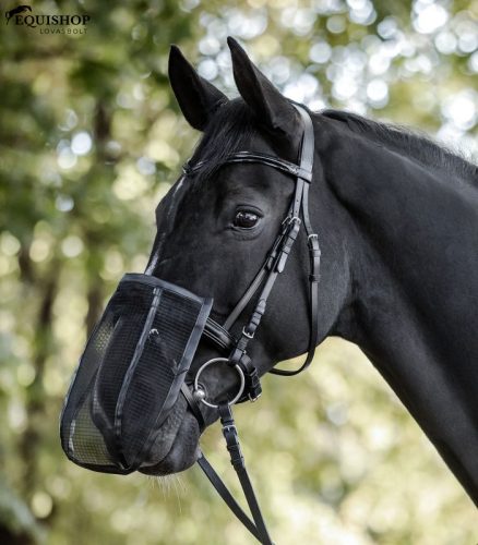 ORRHÁLÓ WALDHAUSEN