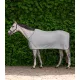 TAKARÓ WALDHAUSEN POLÁR ECONOMIC